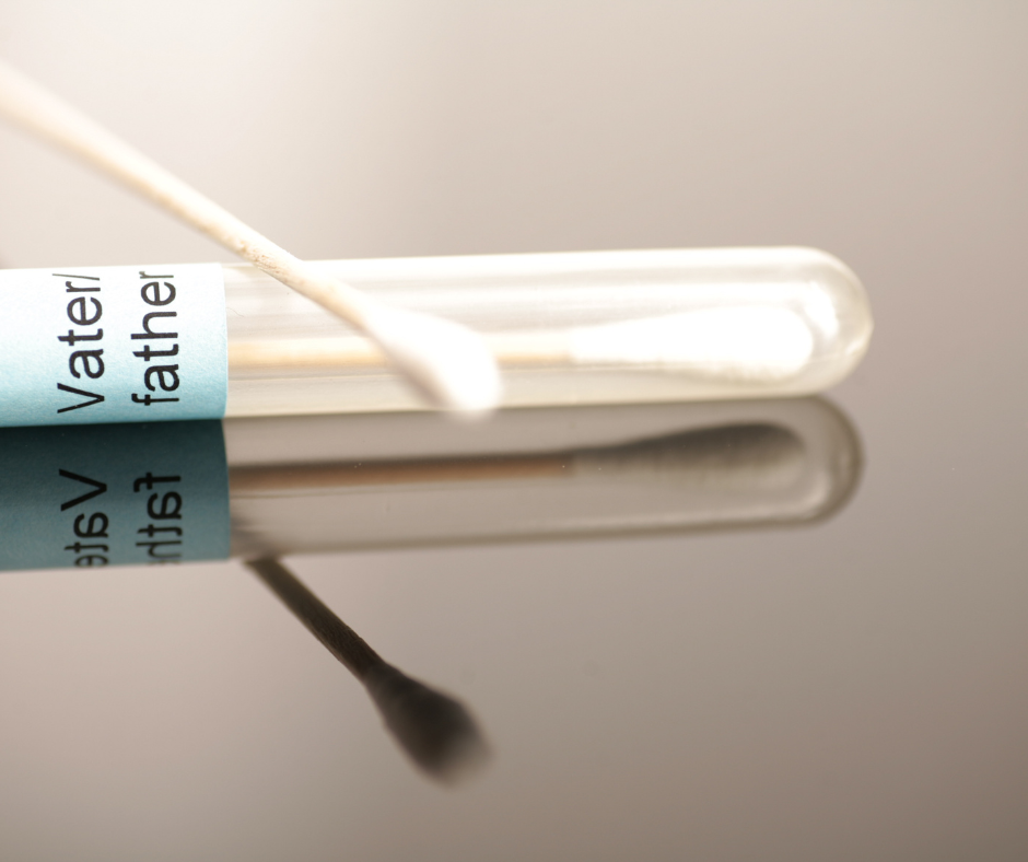 Family law services in florida